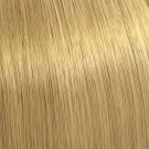 9/7 - Very Light Brunette Blonde