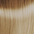 12.01 Ice Ash Scandinavian Blonde