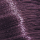 Pure Violet