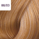 88/03 - Intense Light Natural Gold Blonde