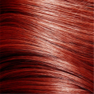 Warm Chestnut