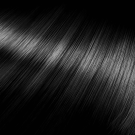 Wild Black