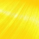 Wild Yellow
