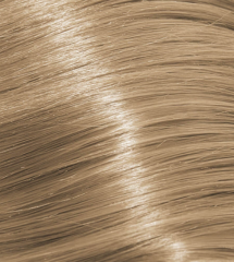 10.13 Lightest Ash Golden Blonde