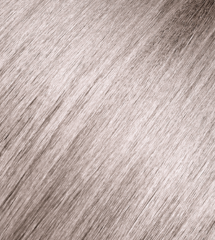 Andreia 0% Ammonia Permanent Color 100ml - 10.1 Platinum Ash