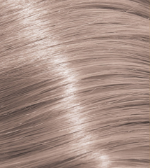 10.21 Lightest Iridecent Ash Blonde