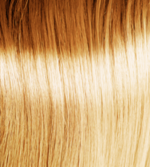 Osmo Ikon 10.3 Lightest Golden Blonde 100ml