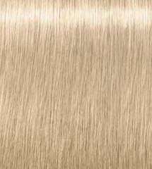 12-1 Special Blonde Cendre