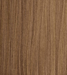 /17 Ash Brunette Cool Ash Brown