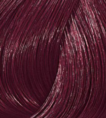/6 Violet