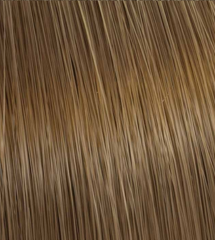 Color Touch Medium Brunette Gold Blonde 7/73