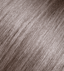 Andreia 0% Ammonia Permanent Color 100ml - 8.1 Light Blonde Ash