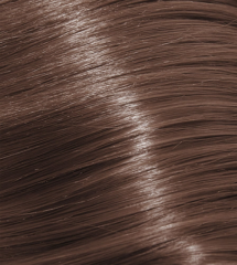 8.21 Iridescent Light Ash Blonde