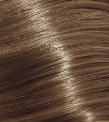 8.31 Light Golden Ash Blonde