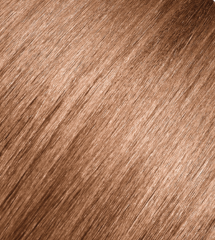 Andreia 0% Ammonia Permanent Color 100ml - 8.74 Light Blonde Brown Copper