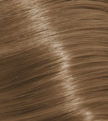 8.8 Light Mocha Blonde