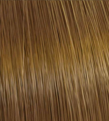 Colour Touch Light Brunette Gold Blonde 8/73