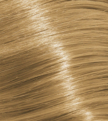 9.03 Very Light Natural Golden Blonde