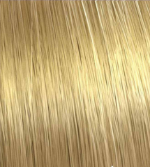 Color Touch Very Light Natural Ash Blonde 9/01