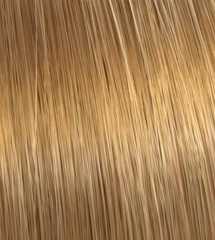 Color Touch Very Light Natural Blonde 9/03