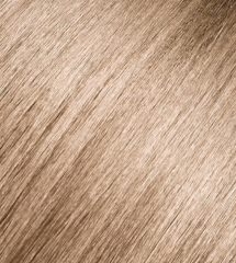 Andreia 0% Ammonia Permanent Color 100ml - 9.0 Very Light Blonde Natural