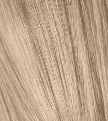 Schwarzkopf Color Vibrance Extra Light Blonde Cendre Ash 9/12