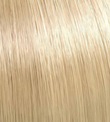 Illumina 10/38