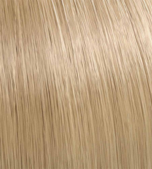 Illumina 8/38