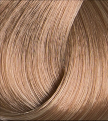 Colorissimo 100ml 8NW Light Natural Warm Blonde