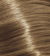 10.31 Lightest Golden Ash Blonde