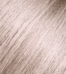 Andreia Permanent Color - 10.01 Platinum Blonde Natural Ice
