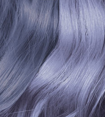 Silver Lavender