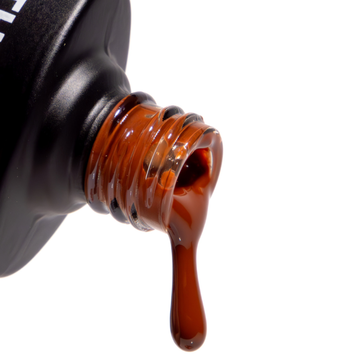 The Chocolate Brown The Chocolate Brown