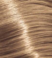 Wella 12/03 Special Blonde Natural Gold