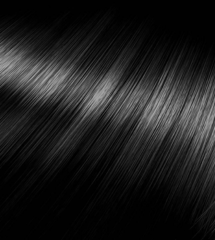 Wild Black