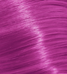 Wild Fuschia