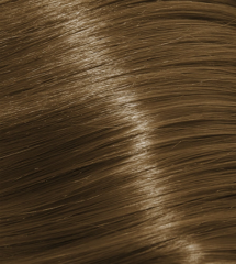 8.3 Light Golden Blonde