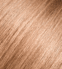Andreia 0% Ammonia Permanent Color 100ml - 10.74 Platinum Brown Copper