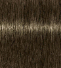 Schwarzkopf Igora Royal 6/31