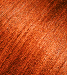 Andreia 0% Ammonia Permanent Color 100ml - Orange